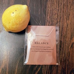 Beautiful Balance Silver Necklace - NWT